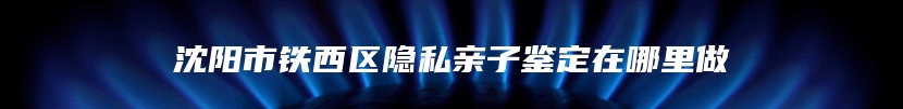 沈阳市铁西区隐私亲子鉴定在哪里做