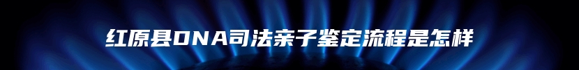 红原县DNA司法亲子鉴定流程是怎样