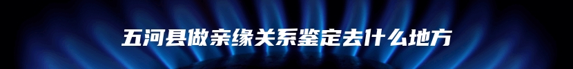 五河县做亲缘关系鉴定去什么地方