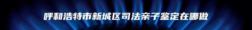 呼和浩特市新城区司法亲子鉴定在哪做