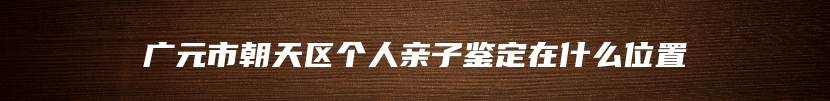 广元市朝天区个人亲子鉴定在什么位置