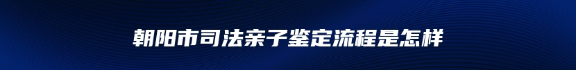 朝阳市司法亲子鉴定流程是怎样