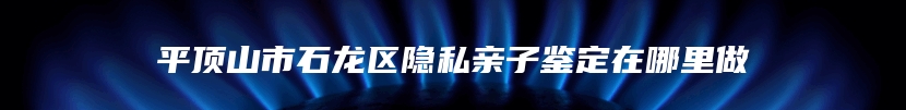 平顶山市石龙区隐私亲子鉴定在哪里做