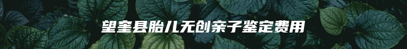 望奎县胎儿无创亲子鉴定费用