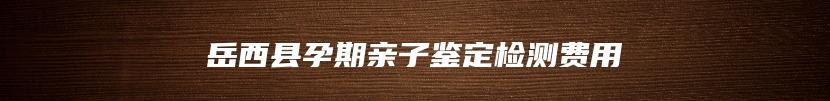 岳西县孕期亲子鉴定检测费用