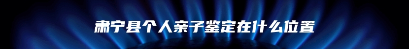 肃宁县个人亲子鉴定在什么位置