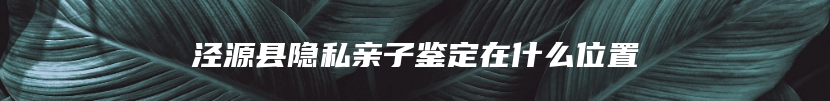 泾源县隐私亲子鉴定在什么位置