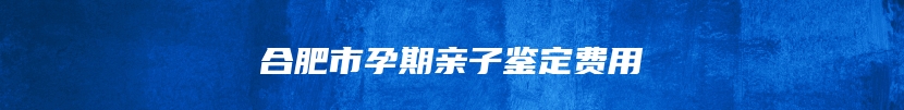 合肥市孕期亲子鉴定费用