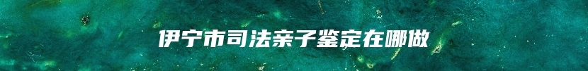 伊宁市司法亲子鉴定在哪做
