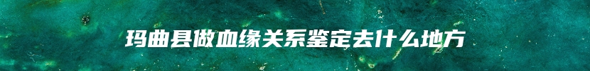 玛曲县做血缘关系鉴定去什么地方