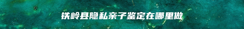 铁岭县隐私亲子鉴定在哪里做