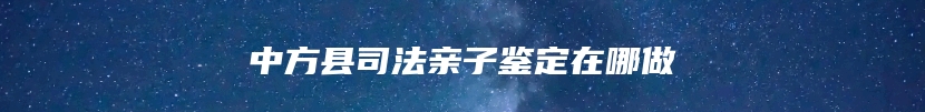 中方县司法亲子鉴定在哪做