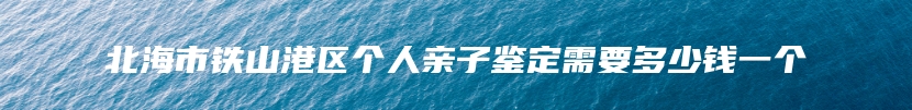 北海市铁山港区个人亲子鉴定需要多少钱一个