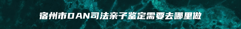 宿州市DAN司法亲子鉴定需要去哪里做