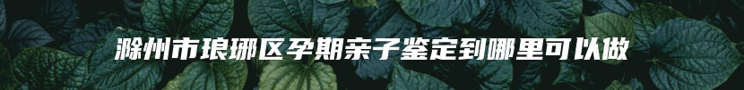 滁州市琅琊区孕期亲子鉴定到哪里可以做