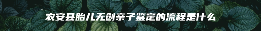 农安县胎儿无创亲子鉴定的流程是什么
