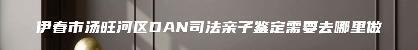 伊春市汤旺河区DAN司法亲子鉴定需要去哪里做