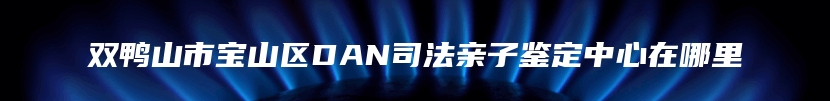 双鸭山市宝山区DAN司法亲子鉴定中心在哪里