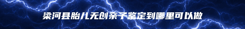 梁河县胎儿无创亲子鉴定到哪里可以做