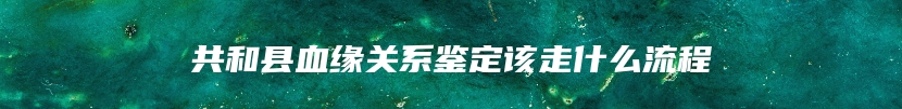 共和县血缘关系鉴定该走什么流程