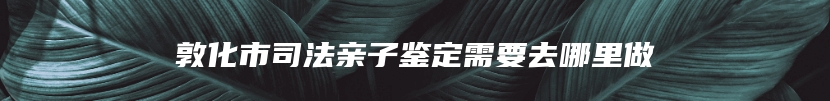 敦化市司法亲子鉴定需要去哪里做