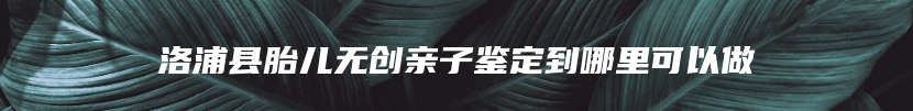 洛浦县胎儿无创亲子鉴定到哪里可以做