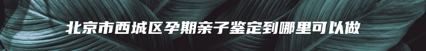 北京市西城区孕期亲子鉴定到哪里可以做