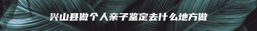 兴山县做个人亲子鉴定去什么地方做