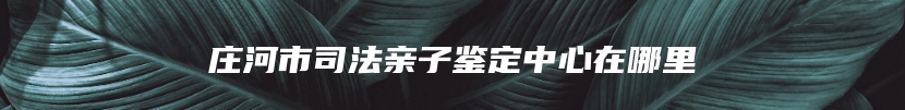 庄河市司法亲子鉴定中心在哪里