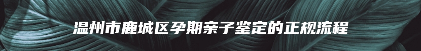 温州市鹿城区孕期亲子鉴定的正规流程