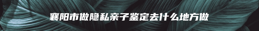 襄阳市做隐私亲子鉴定去什么地方做