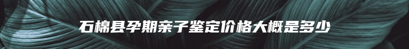 石棉县孕期亲子鉴定价格大概是多少