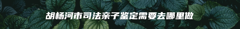 胡杨河市司法亲子鉴定需要去哪里做