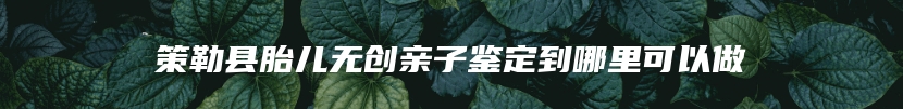 策勒县胎儿无创亲子鉴定到哪里可以做