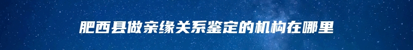 肥西县做亲缘关系鉴定的机构在哪里