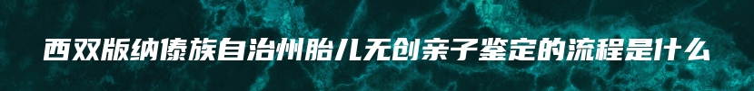 西双版纳傣族自治州胎儿无创亲子鉴定的流程是什么