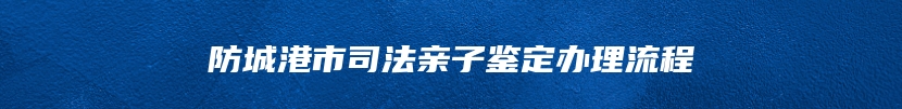防城港市司法亲子鉴定办理流程