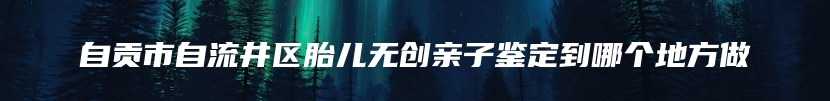 自贡市自流井区胎儿无创亲子鉴定到哪个地方做