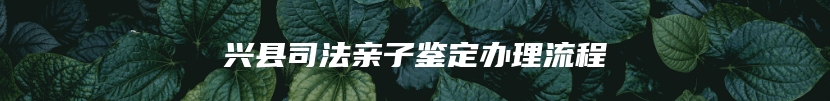 兴县司法亲子鉴定办理流程