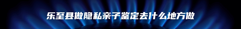 乐至县做隐私亲子鉴定去什么地方做