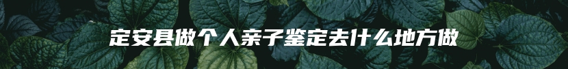 定安县做个人亲子鉴定去什么地方做
