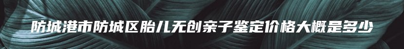 防城港市防城区胎儿无创亲子鉴定价格大概是多少