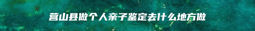 营山县做个人亲子鉴定去什么地方做