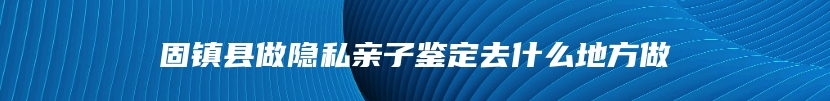 固镇县做隐私亲子鉴定去什么地方做