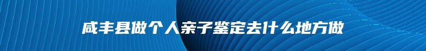 咸丰县做个人亲子鉴定去什么地方做