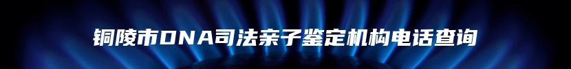 铜陵市DNA司法亲子鉴定机构电话查询