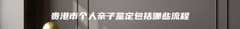 贵港市个人亲子鉴定包括哪些流程