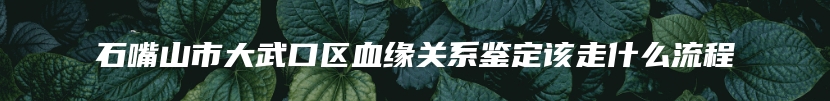 石嘴山市大武口区血缘关系鉴定该走什么流程