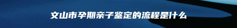 文山市孕期亲子鉴定的流程是什么