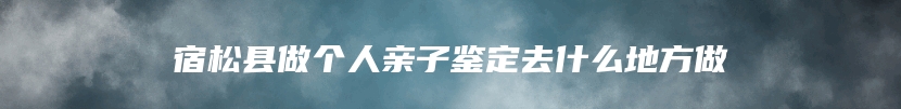 宿松县做个人亲子鉴定去什么地方做